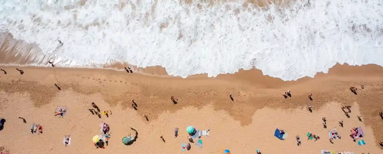 Stay on the Right Path by Casting Your Vision