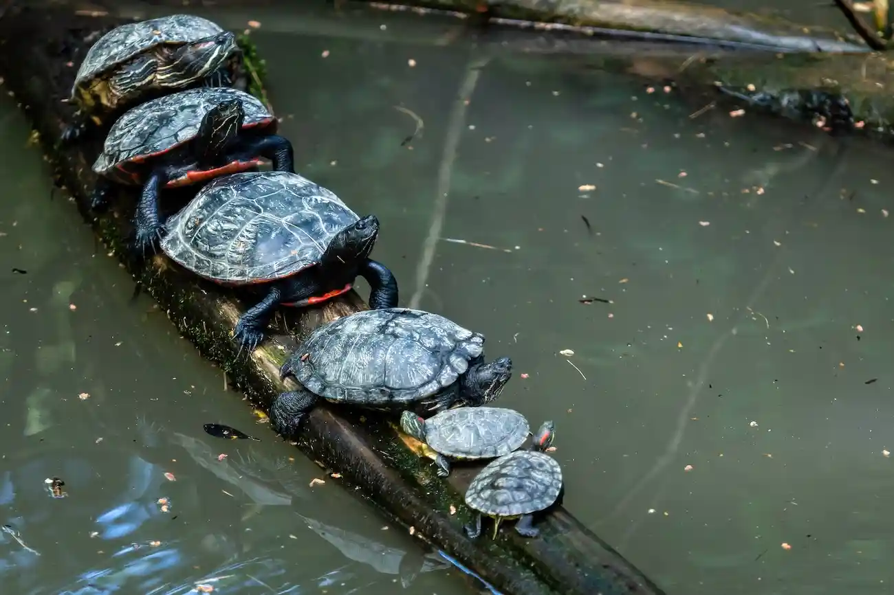 Three Costly Consequences of Hiring Too Slowly